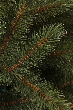 Black Box Trees Kerstboom Toronto (H155 X O102 Cm)