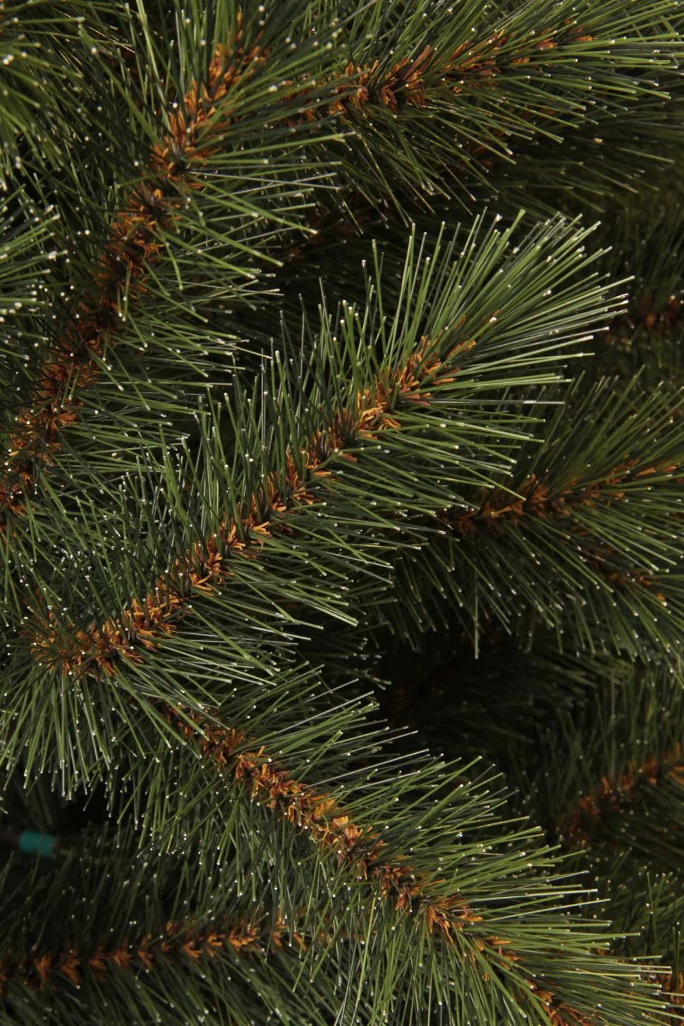 Black Box Trees Kerstboom Toronto (H155 X O102 Cm)