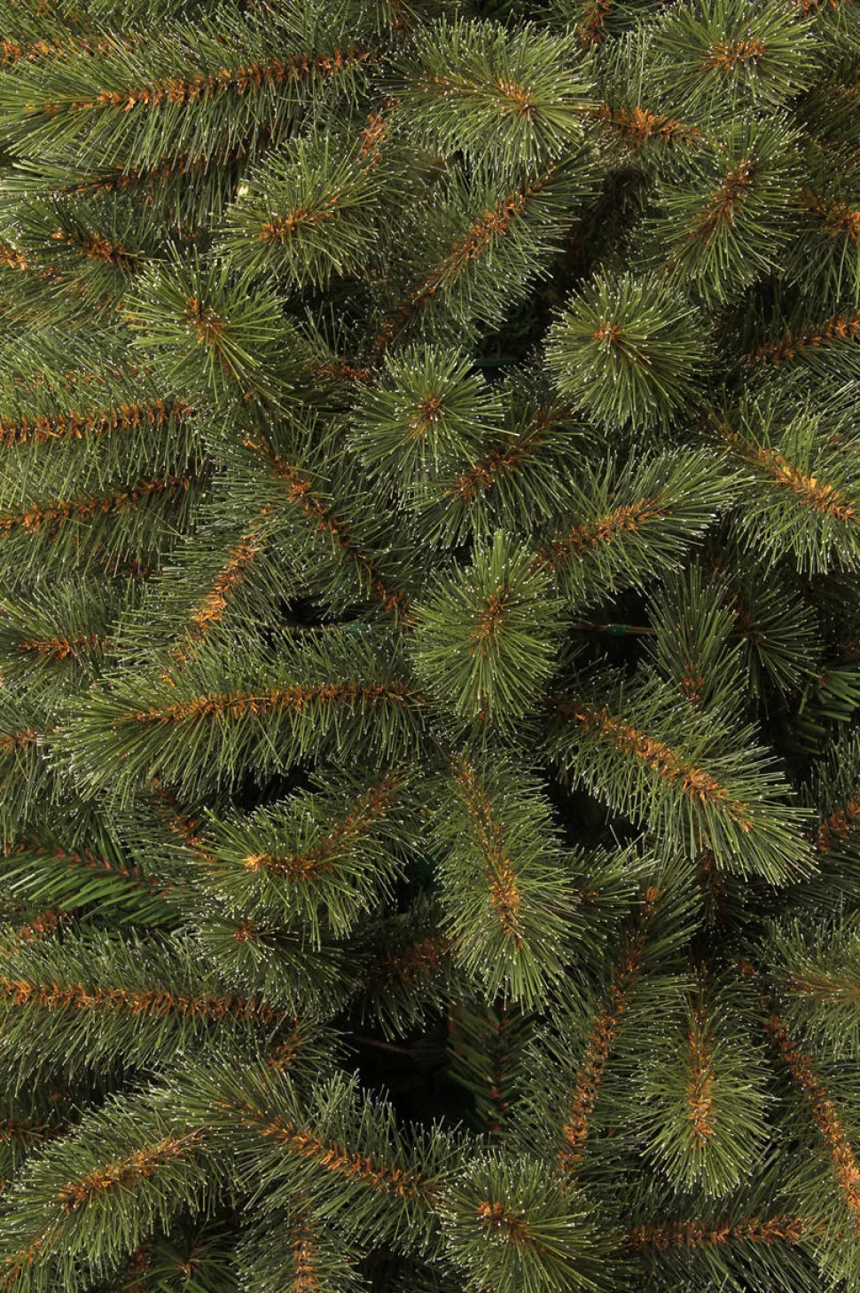 Black Box Trees Kerstboom Toronto (H155 X O102 Cm)