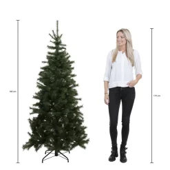 Black Box Trees Verlichte Kerstboom Toronto (H185Xo114 Cm)