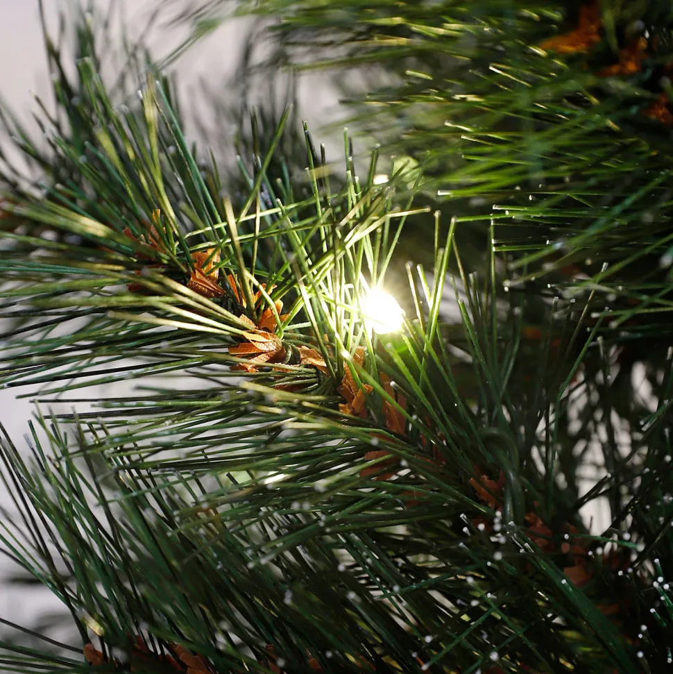 Black Box Trees Verlichte Kerstboom Sotka (H185 X O66 Cm)