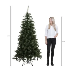 Black Box Trees Verlichte Kerstboom Brampton (H215Xo142 Cm)