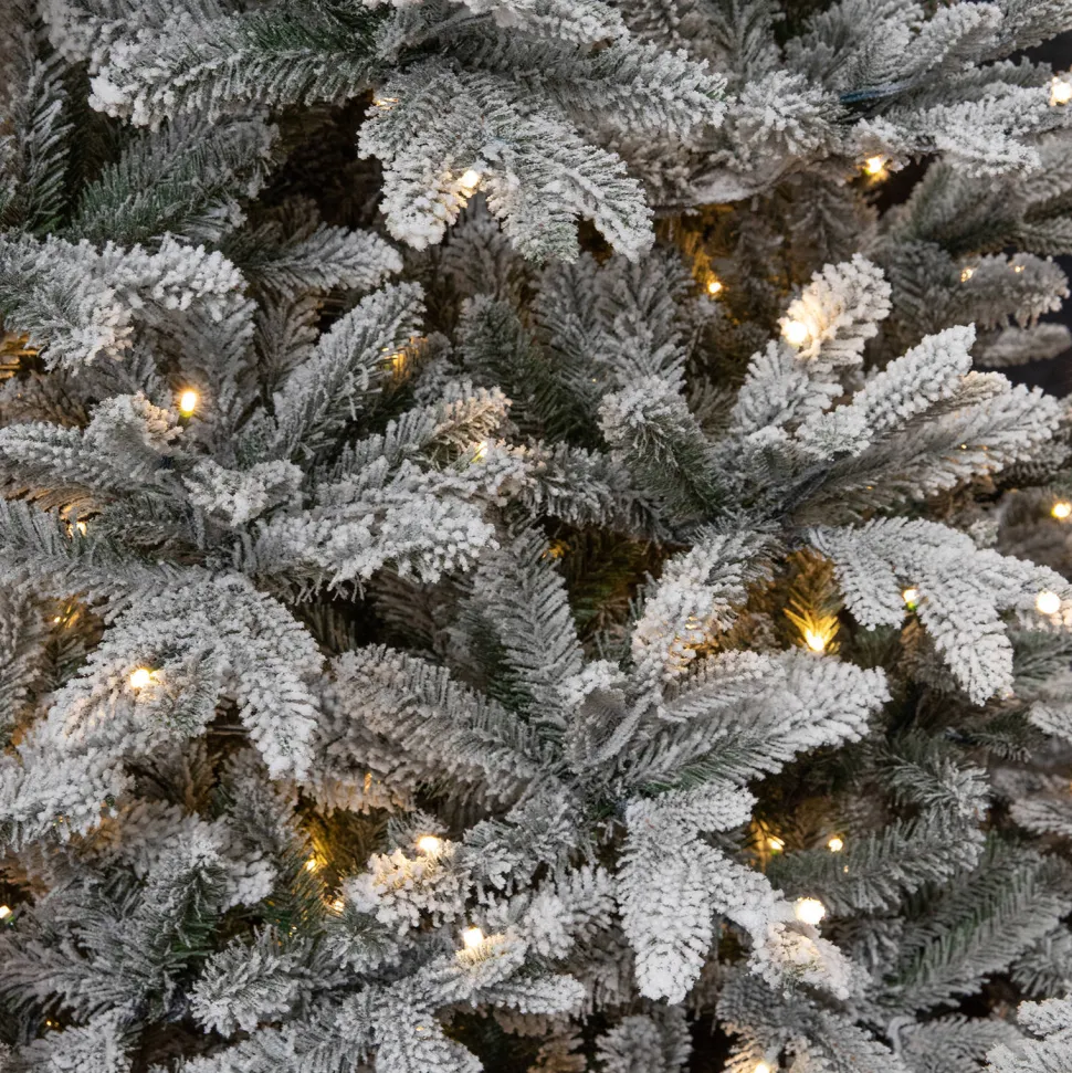 Black Box Trees Verlichte Kerstboom Frasier (H215 X O145Cm)