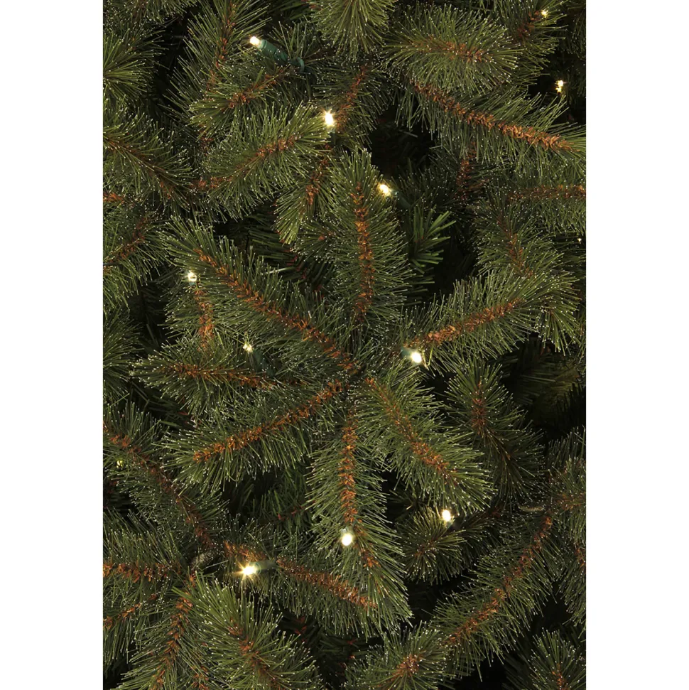 Black Box Trees Verlichte Kerstboom Toronto (H215Xo132 Cm)