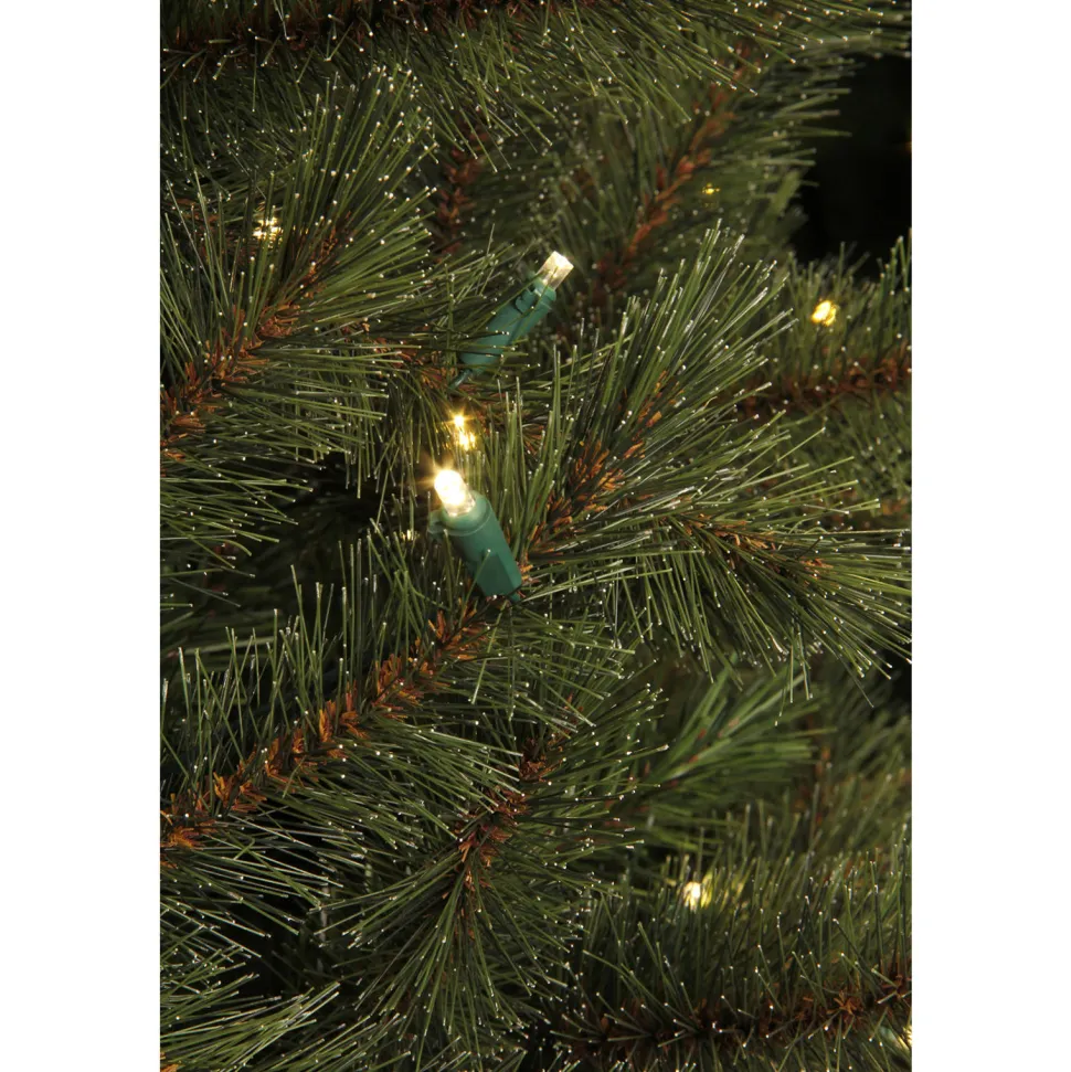 Black Box Trees Verlichte Kerstboom Toronto (H155Xo102 Cm)