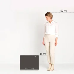 Brabantia Bo Pedaalemmer (36L)