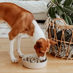 District 70 Hondenvoerbak Bamboo Dog Slow Feeder - O 21 Cm - Merengue