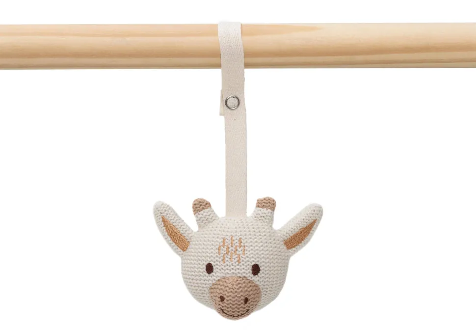 Jollein Speeltjes Voor De Babygym Animals