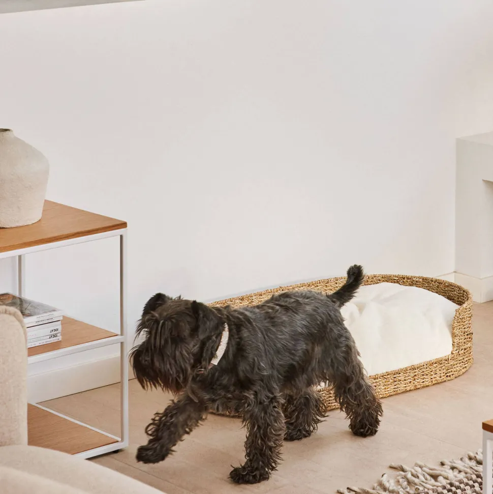 Kave Home Hondenkussen Codie O 80 X 50 Cm