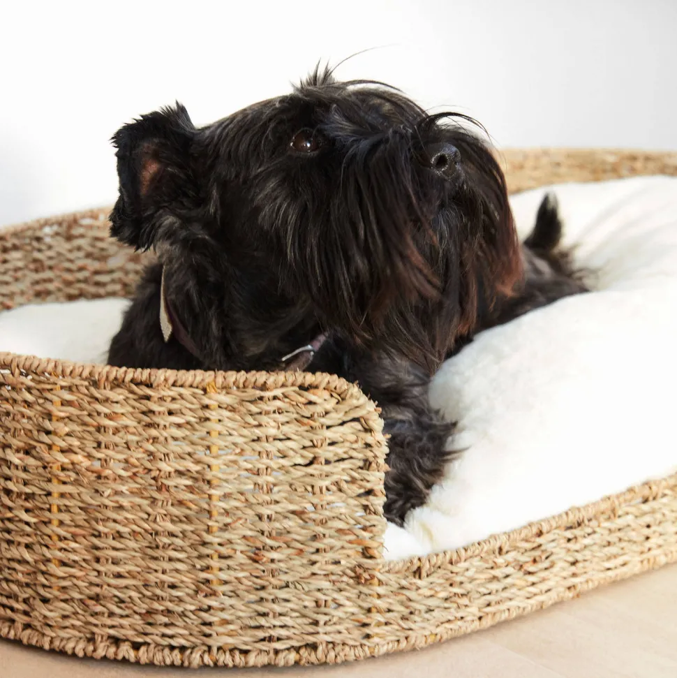Kave Home Hondenkussen Codie O 80 X 50 Cm