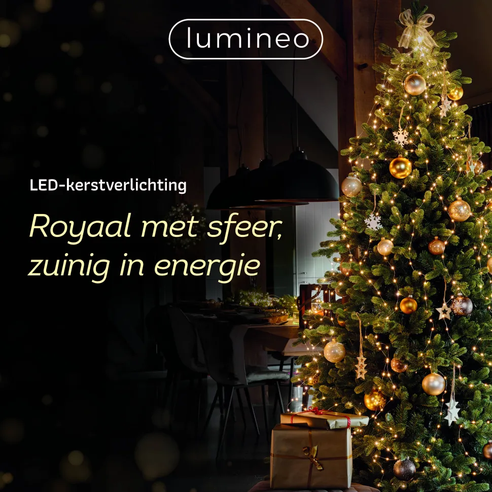 Lumineo Verlichtingssnoer Met Twinkel (750 Led)