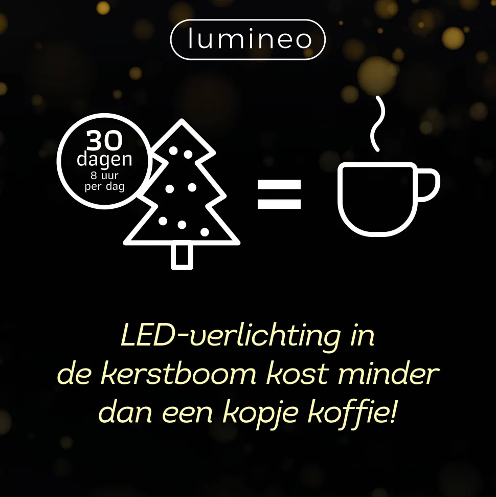 Lumineo Verlichtingssnoer Met Twinkel (750 Led)
