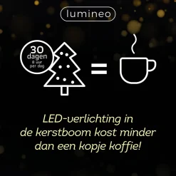 Lumineo Verlichtingssnoer Met Twinkel (500 Led)
