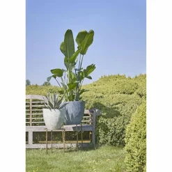 Mica Decorations Bloempot Bravo (O38 Cm)