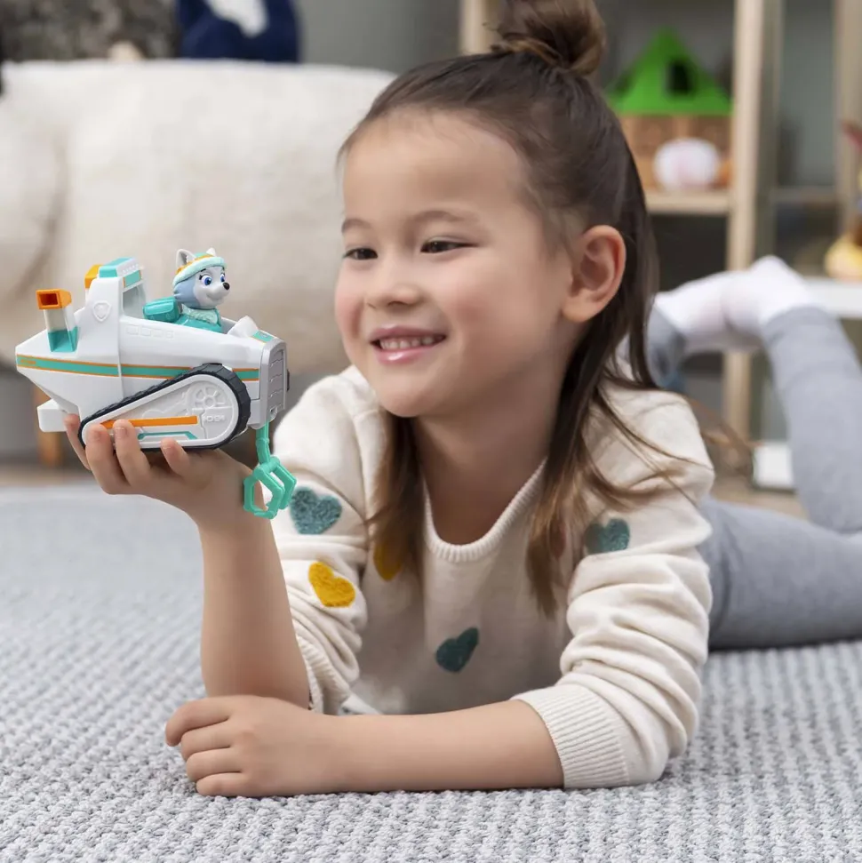 Paw Patrol Voertuig Met Pup Everest