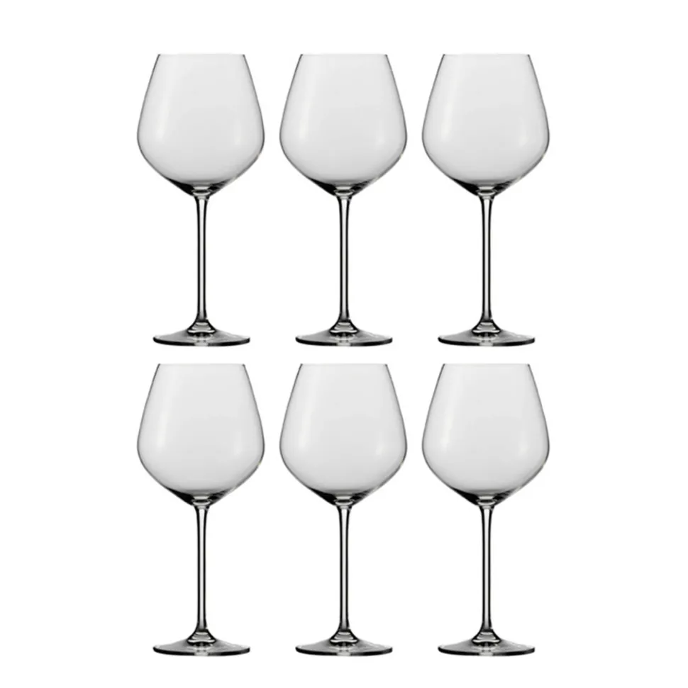 Schott Zwiesel Bourgogneglas Fortissimo - Set Van 6
