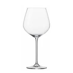 Schott Zwiesel Bourgogneglas Fortissimo - Set Van 6
