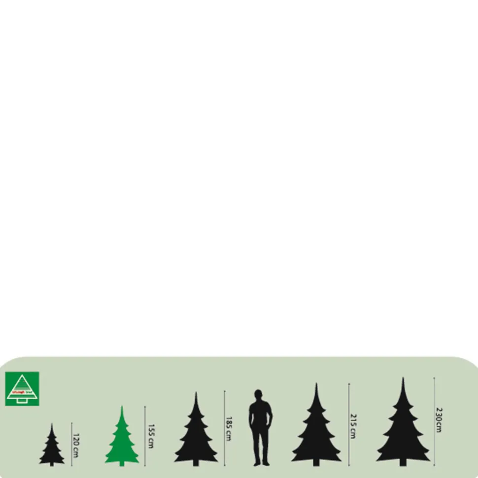 Triumph Tree Kerstboom Forest Frosted (H155 X O119 Cm)