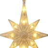 W Led Kerstster (10 Led)